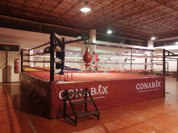 Ring de Boxeo Profesional 6.10mts x 6.10mts x 1mt - Imagen 2