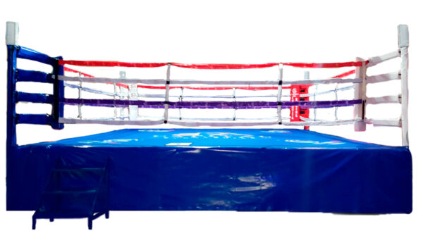 Ring profesional